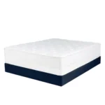 34 سم – مرتبة إنجلاندر لولا