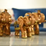 African Elephant Decor Set
